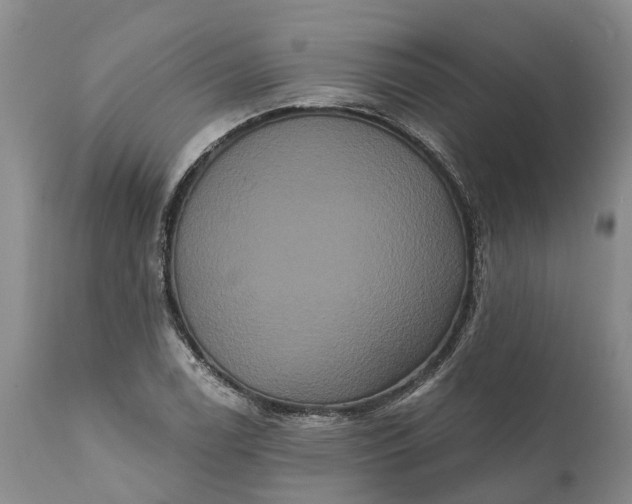 X0000112001122200908171413