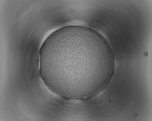 X0000112001123200908171413