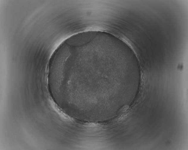 X0000112001124200908171413