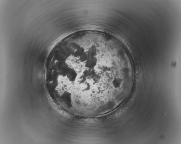 X0000112001125200908171413