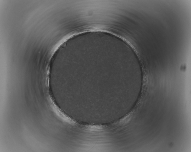 X0000112001126200908171413