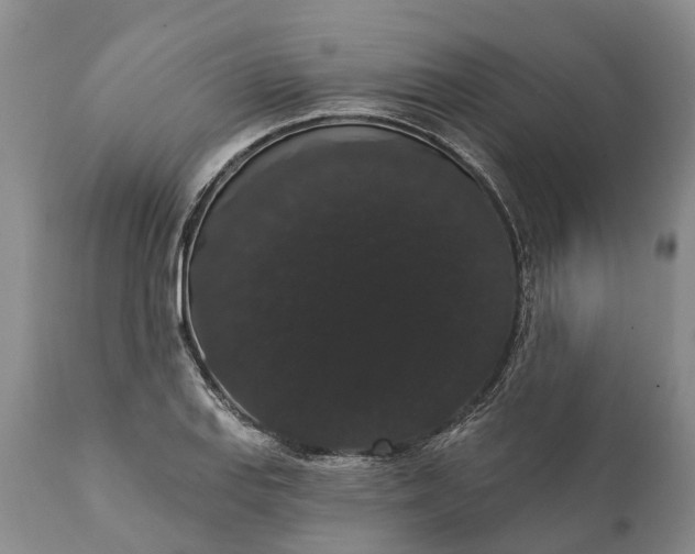 X0000112001127200908171413