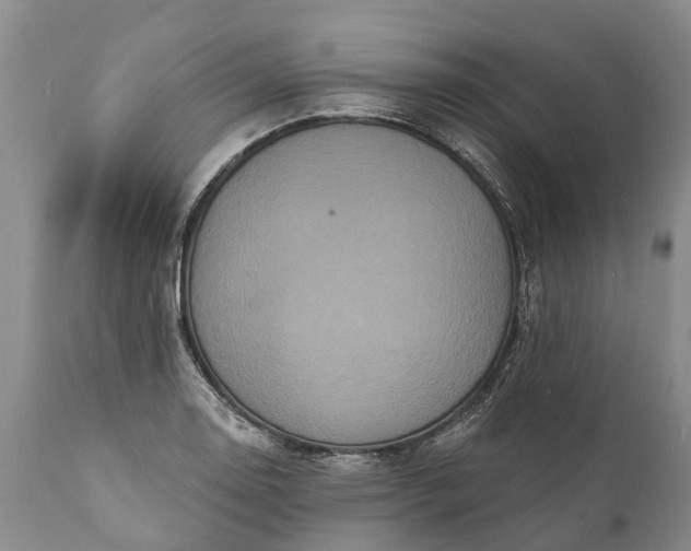 X0000112001130200908171413