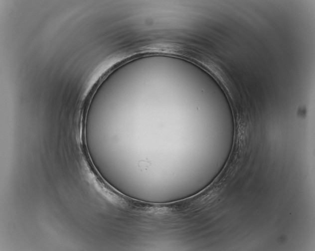 X0000112001131200908171413