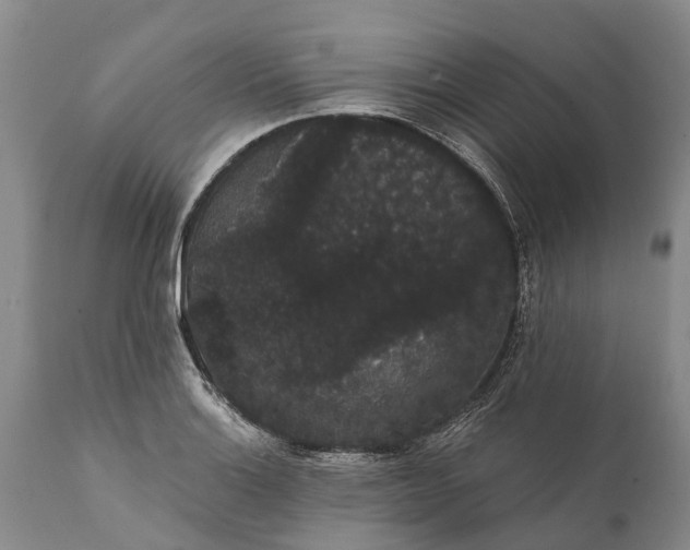 X0000112001132200908171413