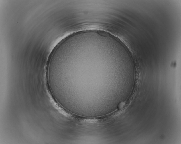 X0000112001134200908171413