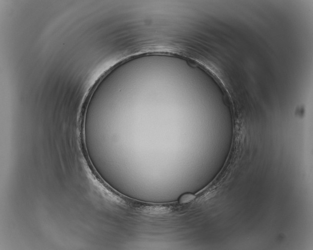 X0000112001135200908171413