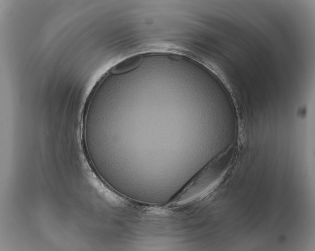 X0000112001136200908171413