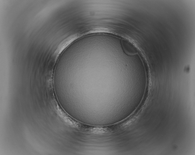 X0000112001137200908171413