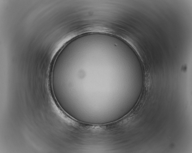 X0000112001139200908171413