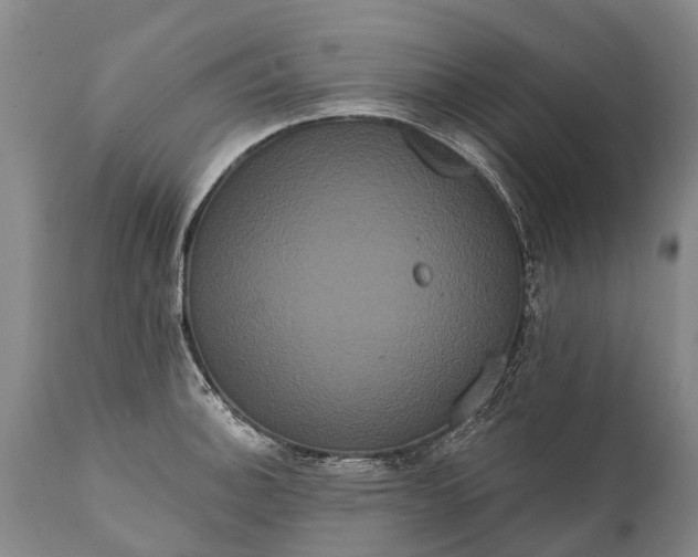 X0000112001140200908171413