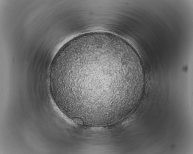 X0000112001142200908171413