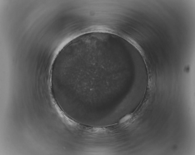 X0000112001144200908171413