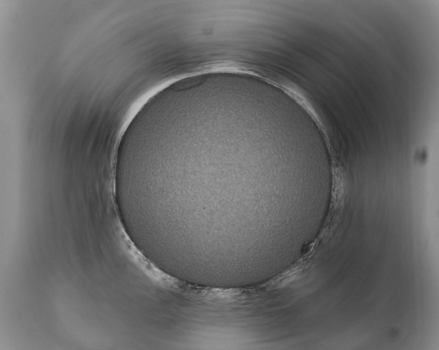 X0000112001148200908171413