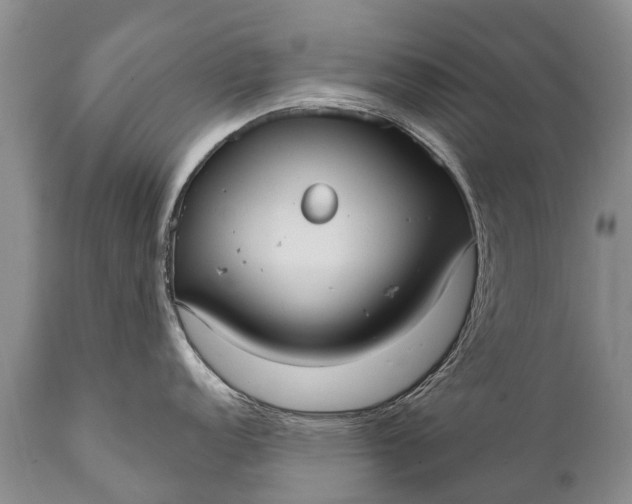 X0000112001152200908171413