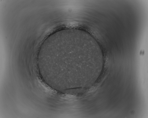 X0000112001153200908171412