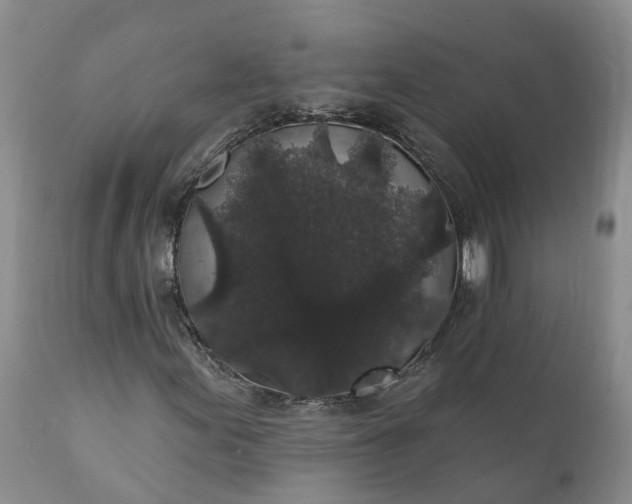 X0000112001155200908171412