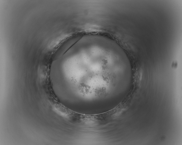 X0000112001157200908171412