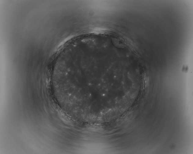 X0000112001158200908171412