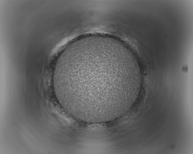 X0000112001159200908171412