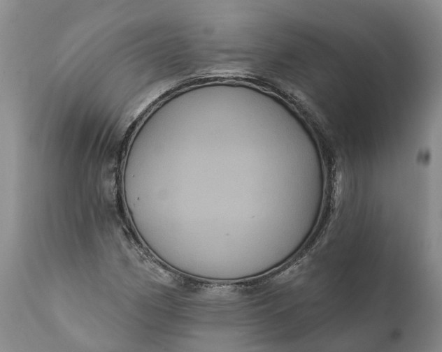 X0000112001162200908171412