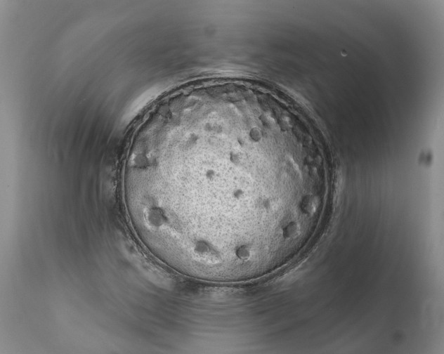 X0000112001163200908171412