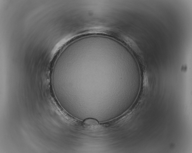 X0000112001164200908171412