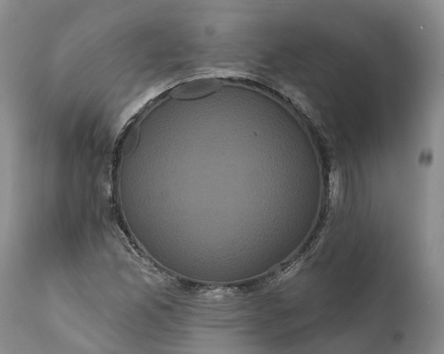 X0000112001165200908171412