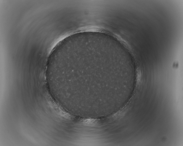 X0000112001166200908171412