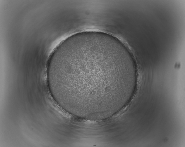 X0000112001167200908171412