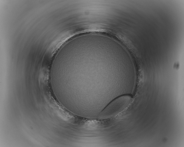 X0000112001169200908171412