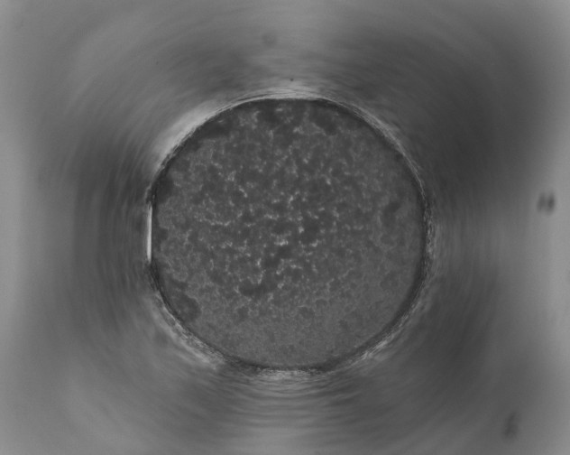 X0000112001171200908171412