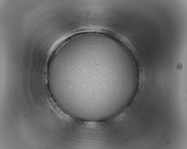 X0000112001172200908171412