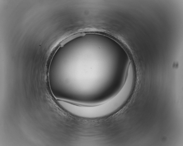 X0000112001173200908171412