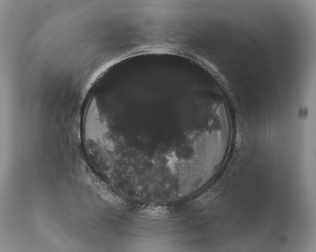 X0000112001174200908171412