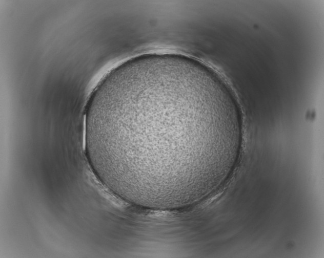 X0000112001175200908171412