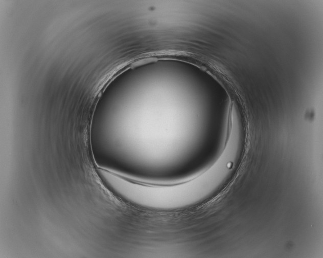 X0000112001177200908171412