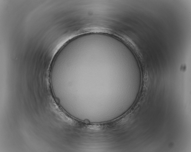 X0000112001182200908171412