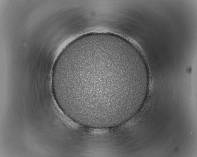 X0000112001183200908171412