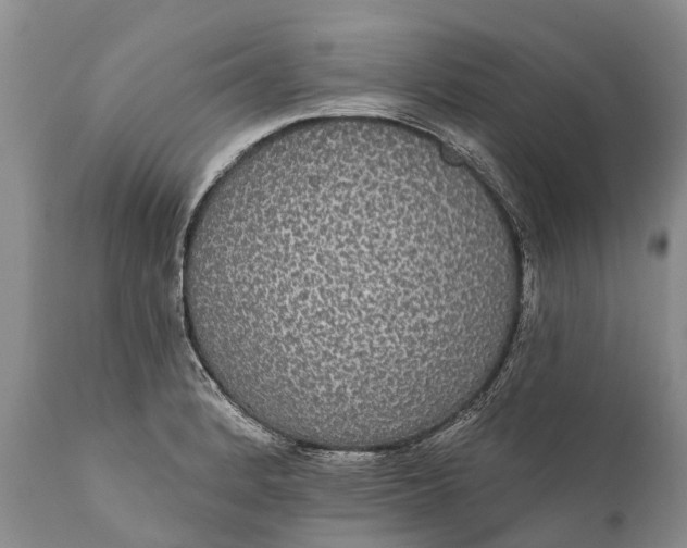 X0000112001184200908171412