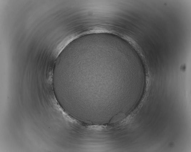 X0000112001185200908171412