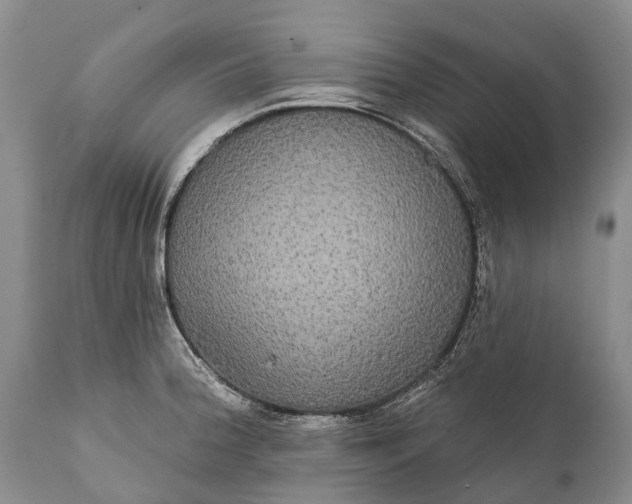 X0000112001188200908171412