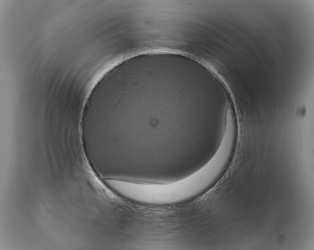 X0000112001189200908171412