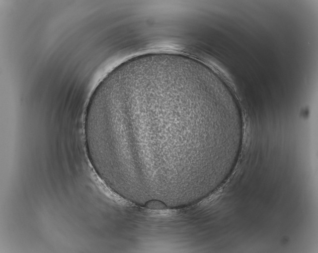 X0000112001192200908171412