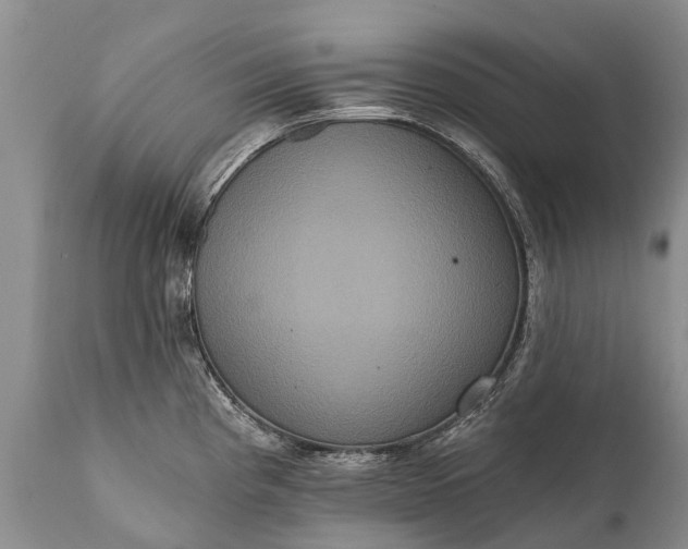 X0000112001193200908171412