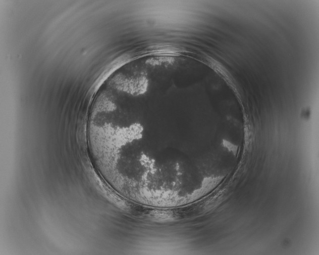 X0000112001194200908171412