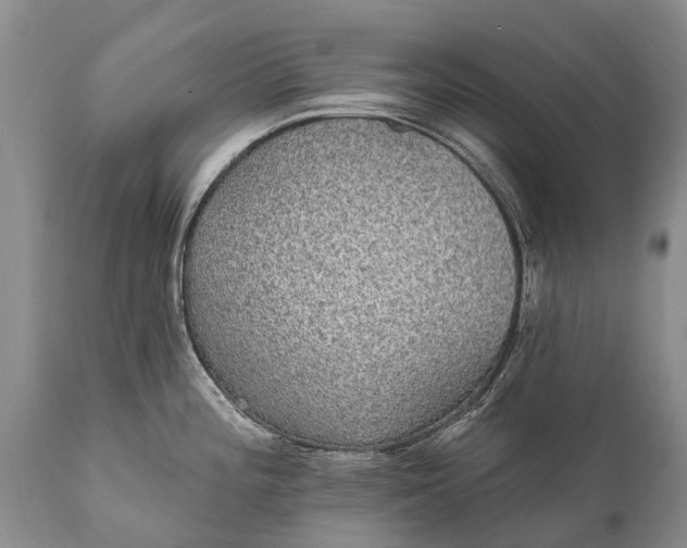 X0000112001196200908171412