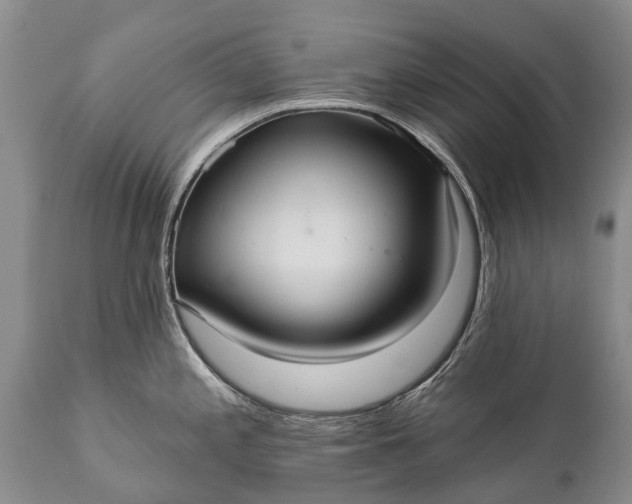 X0000112001197200908171412