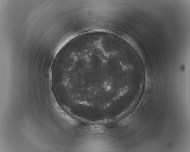 X0000112001198200908171412