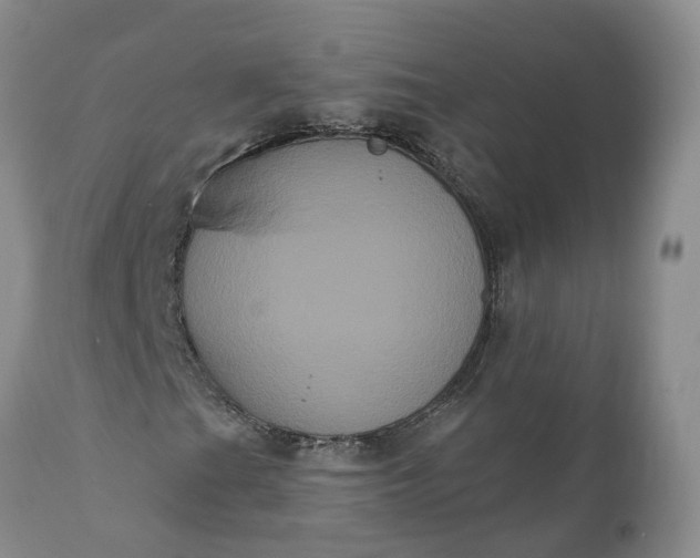 X0000112001201200908171411